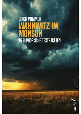 Productafbeelding van Wahnwitz im Monsun Buch – 16 prämierte und originelle Geschichten erstmals in einem Band