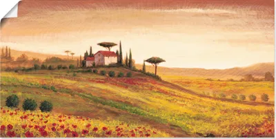 Produktbild von ARTland Poster Toskanalandschaft mit Mohnblumen Größe: 150x75 cm
