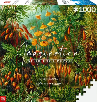 Image de Ernst Haeckel Muscinae puzzle 1000 pièces - ENG Edition