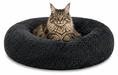 Produktbild von lionto Donut Katzenkissen, rundes Bett mit Plüschbezug & Anti-Rutsch-Boden, erhöhter Rand für Geborgenheit, 60 cm Durchmesser, dunkelgrau