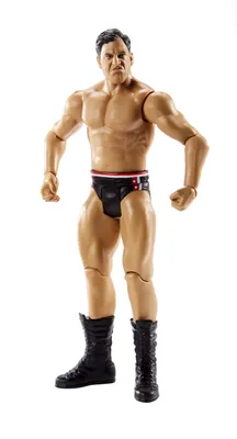 Produktbild von WWE Basis Actionfigur (15 cm) Drew Gulak