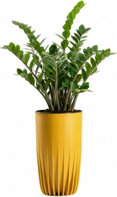Image de HowHomely | Pot de fleurs - bac à plantes - jaune - 25 x 42 cm - bac à fleurs - cache-pot - strié