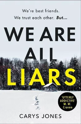 Produktbild von We Are All Liars