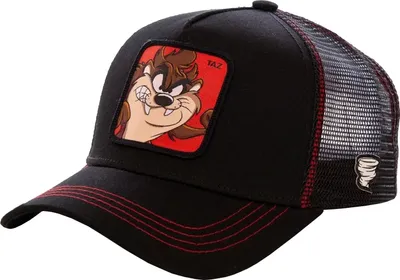 Image de Capslab Čiapky Looney Tunes Tasmanian Devil Trucker, CLLOO1TAZ1