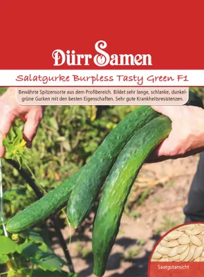 Produktbild von Salatgurke Burpless Tasty Green F1 | Salatgurkensamen von Dürr Samen
