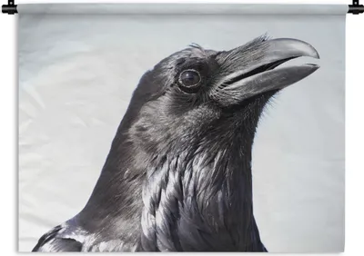 Produktbild von MuchoWow® Wandteppich Wandbehang Krähe - Federn - Vogel 120x90 cm Tapisserie Dekoration Wandtuch - Wohnen - Aufhänger für die Wand