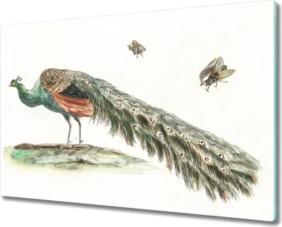 Produktbild von Coloray Küchenbrett Kochplattenabdeckung Hackbrett Schneidebrett Herdabdeckplatte 80x52 cm - Tiervogelblumen