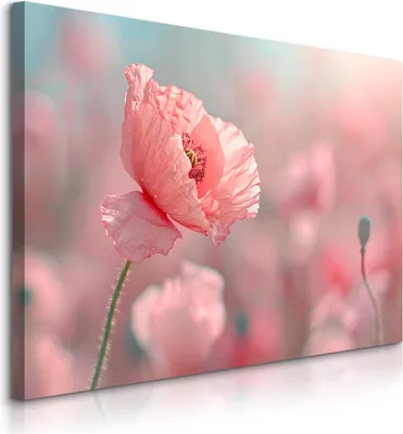 Produktbild von Muralo Leinwandbild Canvas MOHNBLUMEN Feldpflanzen Natur 3D Br. 30cm x Hö. 20cm