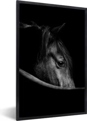 Produktbild von MuchoWow® Gerahmtes Poster Pferde - Porträt - Schwarz - Tiere 60x90 cm - Poster mit Schwarzem Bilderrahmen Wandposter Rahmen Foto Bilder - Kunst