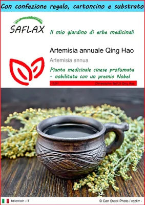 Immagine prodotto di SAFLAX Set regalo - Artemisia annuale Qing Hao - 250 semi - Artemisia