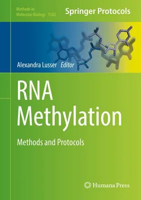 Image de RNA Methylation