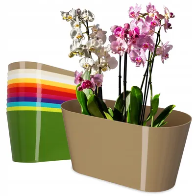 Obrázek produktu pro Plastový květináč KADAX "Pareti", oválný květináč, květináč na orchideje, 27 cm, béžový