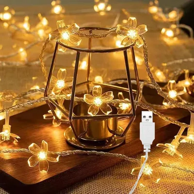 Immagine prodotto di Catena luminosa da 3 metri - 20 LED - Alimentazione USB - Luce calda - Ideale per Natale - Adatta per interni ed esterni