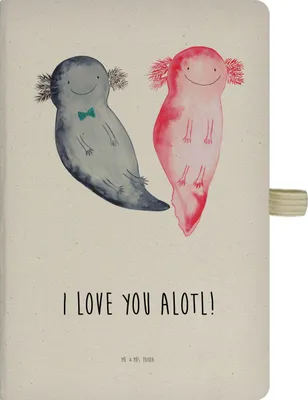 Produktbild von Mr. & Mrs. Panda Tagebuch Axolotl Liebe - Transparent - Geschenk, Freundin, für, Hochzeitstag, Frauen, Valentinstag, Freund, Skizzenbuch, Journal, kariertes notizbuch