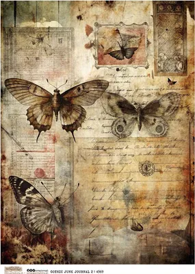 Immagine prodotto di Carta di riso A4 - Scraplove - Diario gotico 2