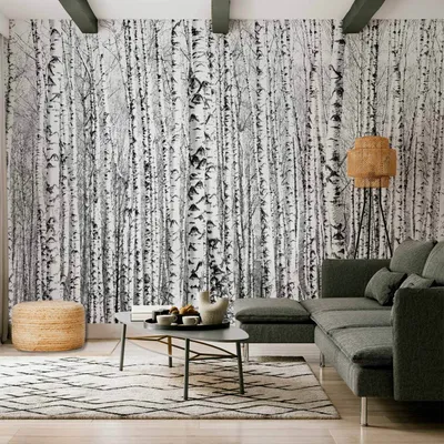 Produktbild von Vlies Fototapete - Birch forest 350x245 cm Landschaften c-A-0016-a-a