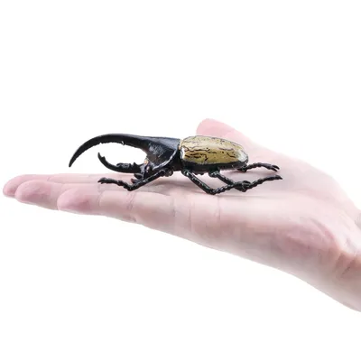 Produktbild von Toymany ML00427 Herkuleskäfer 11 cm Reptilienreich