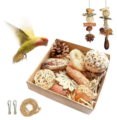 Produktbild von Papageienspielzeug 10-teiliges Set für Sittiche Nymphensittiche Unzertrennliche Naturmaterialien
