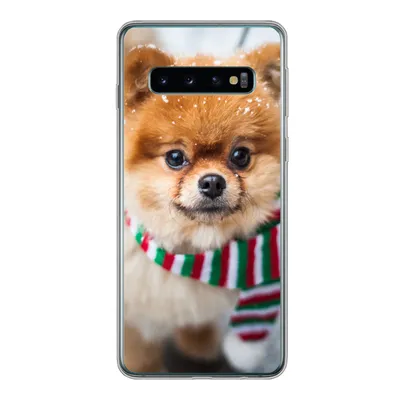 Produktbild von MuchoWow® Handyhülle Schutzhülle Hülle für Samsung Galaxy S10 Hund - Halstuch - Schnee Silikon Softcase Handy Hülle - Handytasche