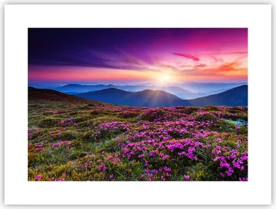 Produktbild von Poster - Poster ohne Rahmen - Wiese Berg Himmel Landschaft - 40x30 cm - Wand Bild - Wanddeko - Wandbilder - Kunstposter - Wandposter - Bilder - Kunstdruck - Wanddekoration - Wandbild - P2XAA40x30-2719