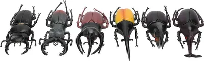 Produktbild von 6PCS -Simulation Käferinsektenmodell Halloween Trick Requisiten ungiftiges PVC -Spielzeug (schwarz)