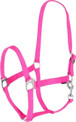 Produktbild von Covalliero Halfter Hippo pink, Größe:Foal