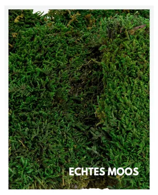 Produktbild von Dunkelgrünes Plattenmoos konserviert | Deko-Wandmoosplatten haltbar | DIY Moosbild selbst gestalten | 300g Naturmoosmatte