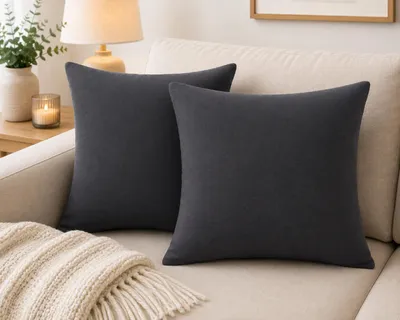 Obrázek produktu pro Sada 2 dekorativních polštářků 45 × 45 cm – připraveno k použití včetně výplně – prémiový hladký grafitový samet – exkluzivní grafitové polštáře