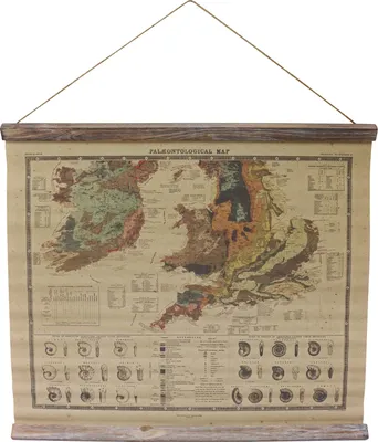 Produktbild von Paläontologie Ammonit Landkarte historische Karte Wandkarte Antik-Stil