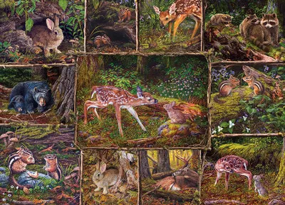 Produktbild von Cobble Hill Puzzle Into the Woods - Familienpuzzle - 350 Teile