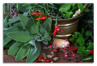 Produktbild von Wallario Frühstücksbrettchen aus Glas 20 x 30 cm mit rutschfesten Füßen, Motiv Frische  Kräuter  und  Gewürze