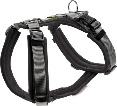 Produktbild von Hunter Maldon, Hund, Halftergeschirr, XS, Schwarz, Grau, Nylon, Einfarbig