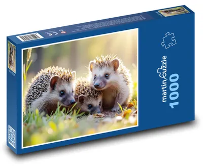 Produktbild von Puzzle 1000 Igel Familie auf der Wiese - martinpuzzle