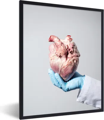 Produktbild von MuchoWow® Gerahmtes Poster Biologischer Experte mit Herz 60x80 cm - Poster mit Schwarzem Bilderrahmen Wandposter Rahmen Foto Bilder - Premium - Wanddeko Wohnzimmer