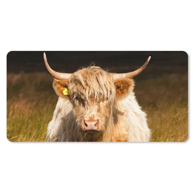 Produktbild von MuchoWow® Mauspad Mousepad Schottische Highlander - Licht - Gras - Tiere 60x30 cm - Mousepads - Maus Mat - Pad - Mausunterlage - Nachhaltig