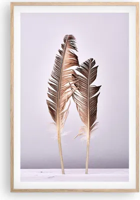 Produktbild von Gerahmtes Poster - Rahmen in heller Eiche - Zwei Federn Flieder - 61x91,5 cm - Wand Bild - Wanddeko - Wandbilder - Wandposter - Bilderrahmen - Bilder - Kunstdruck - Wandbild - P2NPA61x91-4335