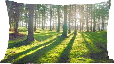 Produktbild von MuchoWow® Zierkissen Sofakissen Wohnzimmer Dekokissen 60x40 cm Bäume - Natur - Wald - Kopfkissen - Polster mit Foto