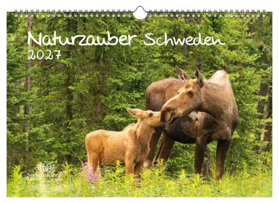 Produktbild von Naturzauber Schweden DIN A3 Kalender für 2027 Natur Reise Land Urlaub