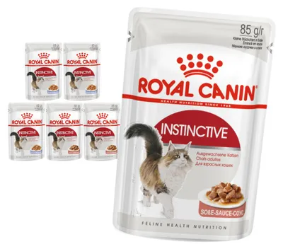 Zdjęcie produktu dla Royal Canin Instinctive FHN 6x85g Karma Mokra W Sosie i Galaretce Dla Kotów Dorosłych Wybrednych