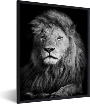 Produktbild von MuchoWow® Gerahmtes Poster Wildlife - Löwe - Schwarz - Weiß 60x80 cm - Poster mit Schwarzem Bilderrahmen Wandposter Rahmen Foto Bilder - Premium - Wanddeko Wohnzimmer