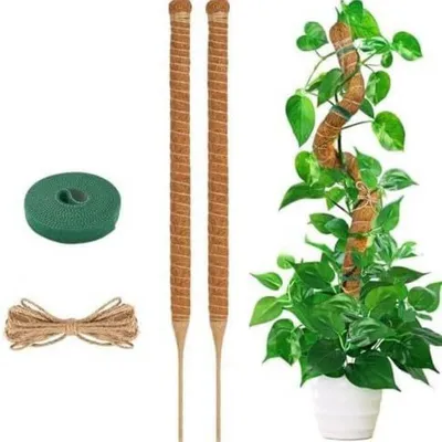 Produktbild von Moosstab 4 Stück – 50 cm Pflanzenstütze für Monstera & Kletterpflanzen – ausziehbare Rankhilfe – Pflanzstab für Zimmerpflanzen & Efeutute – 2 x 50 cm