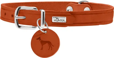 Productafbeelding van Hunter halsband, kleur oranje, maat: 52 / breedte: 2,0 cm