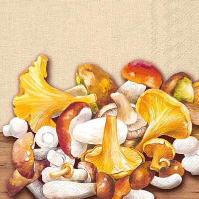 Produktbild von SOME TASTY MUSHROOMS Cream Lunch-Servietten L10154