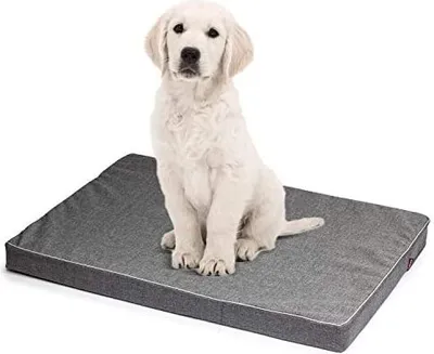 A white puppy sits on a gray dog bed.