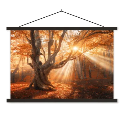Produktbild von MuchoWow® Textilposter Baum - Natur - Herbst 60x40 cm mit schwarzem Rahmen - Hölzernes