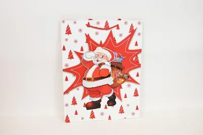 Image de Sac cadeau en JYWK 50 L 78529