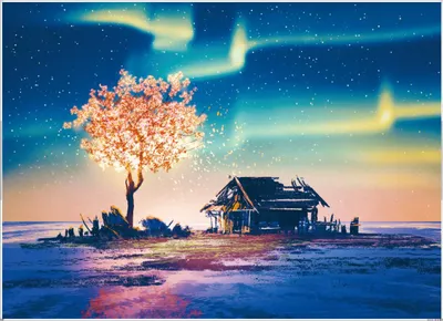Zdjęcie produktu dla PUZZLE 1000el. Zorza Polarna