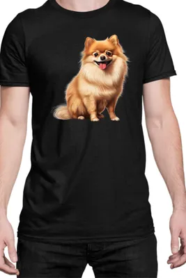 Produktbild von Herren T-Shirt Dogs Breeds Pomeranian Dog Breed 006, Man 2XL / Schwarz