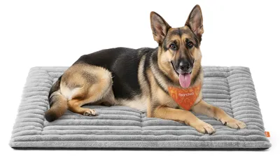 Image de Couverture pour chien et chat Feandrea, taille XXL, 120 x 75 cm, lavable en machine