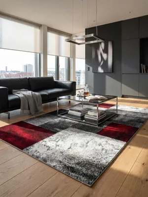 Teppich Red rechteckig im Wohnzimmer Einrichtungsidee_#sku_BARKHAWAII1201701710RED-BARKHAWAII1402001710RED-BARKHAWAII1602301710RED-BARKHAWAII2002901710RED-BARKHAWAII2403401710RED-BARKHAWAII2803701710RED#